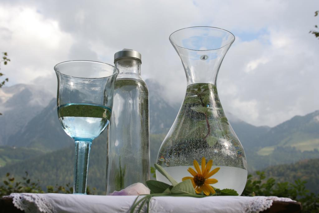 Bio & Vegi Pension Krennleiten Schoenau am Koenigsee Ngoại thất bức ảnh